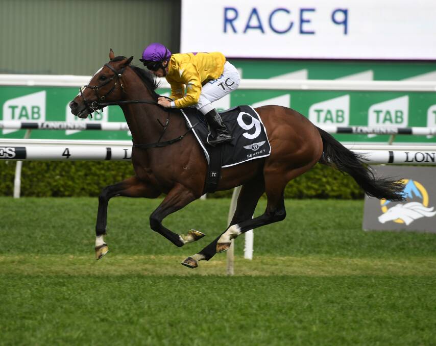 Jockey Tim Clark and Hush Writer win Randwick's St Leger Stakes. He and Caulfield Cup winner Mer De Glace, are Japanese bred and by Rulership. Photo Steve Hart