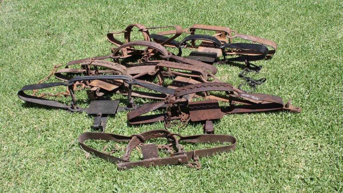 An estate collection of dingo/wild dog traps will be a feature of the sale. 