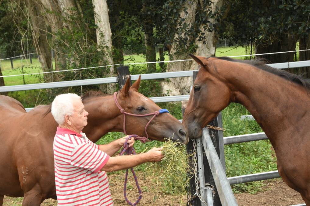 Mid North-Coast breeder Peter Killen with his one broodmare Firefly Magic (and one of her progeny Malea Magic right). Photo Virginia Harvey.