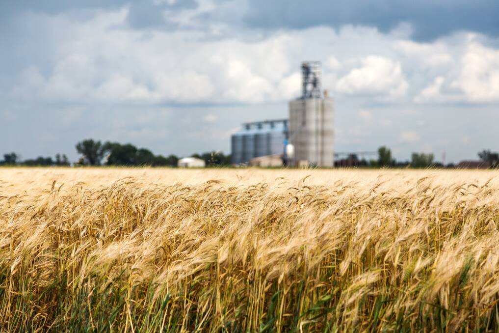 Rabobank forecasts US grain demand to grow at less than 1 per cent per annum for the next decade, while in Australia local cereal grain demand is expected to rise by 2.3 per cent a year.