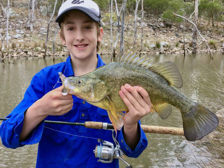 Jonah Smith, Narrabri, caught a well conditioned golden perch in an impoundment.