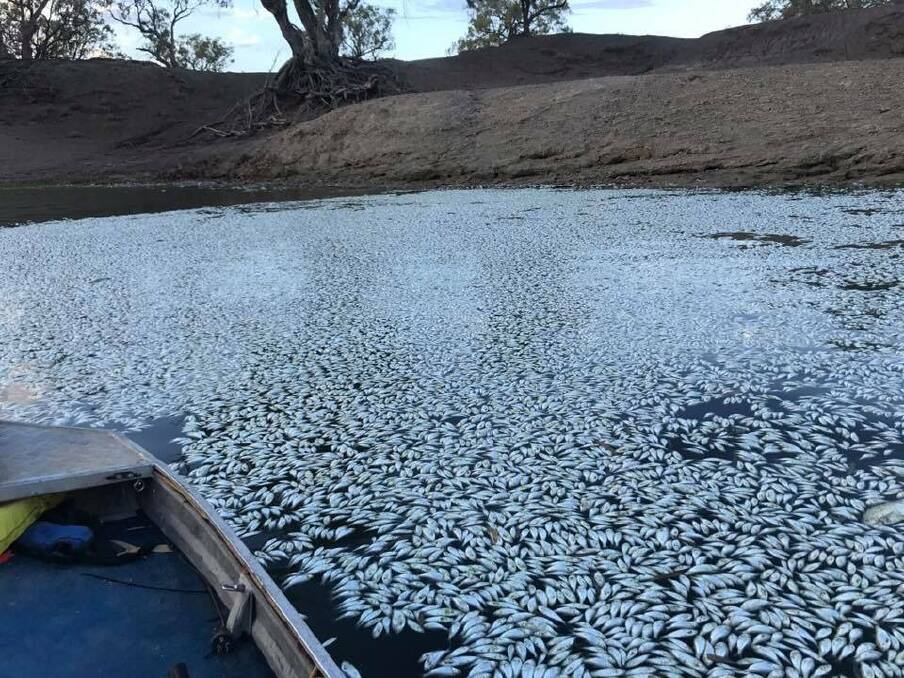 The Northern Basin Advisory Committee had identified the Barwon-Darling would be dry one in three years, so the fish kill was only a matter of time, according to Mal Peters.