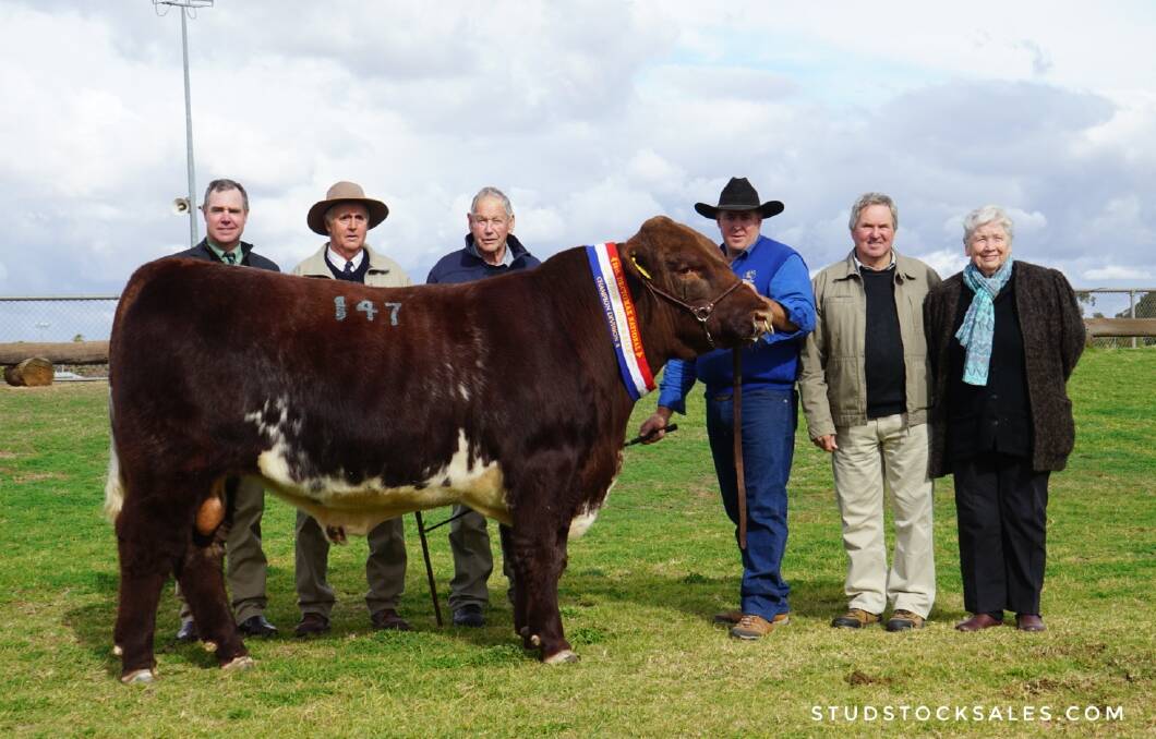 IN DEMAND: Neilsen and Nic Job, Ken and Betty Morton and Andy Withers, with $40,00 top priced bull from the 2018 sale, Royalla Tremain.