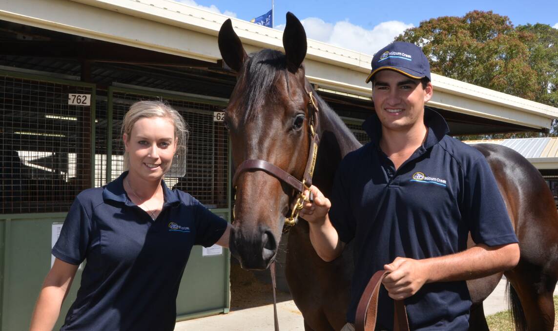 Written Tycoon's top price colt from Golden Penny, pictured with Karis Clarkson and Jock Ferguson, sold for $900,000. Photo by Virginia Harvey