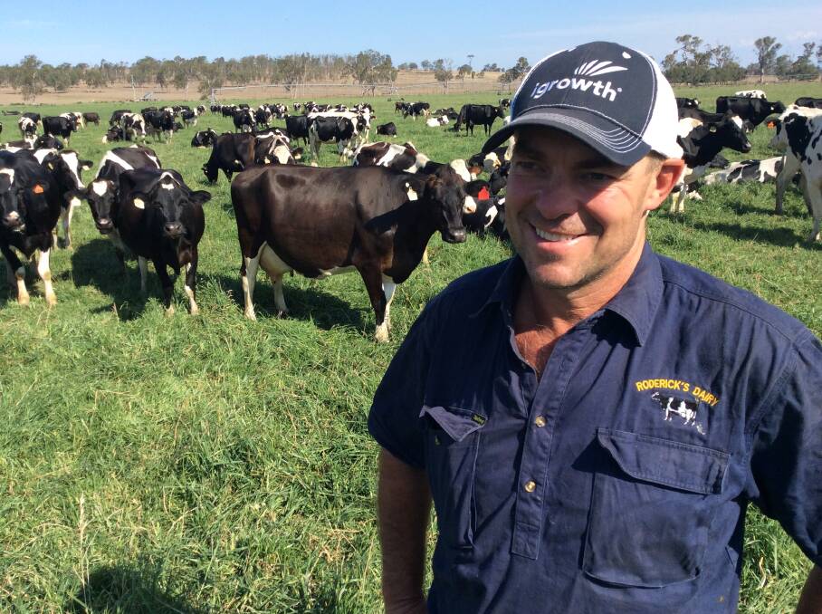 Harrisville dairy farmer Paul Roderick is delighted to see the Milk Value Portal come to fruition.