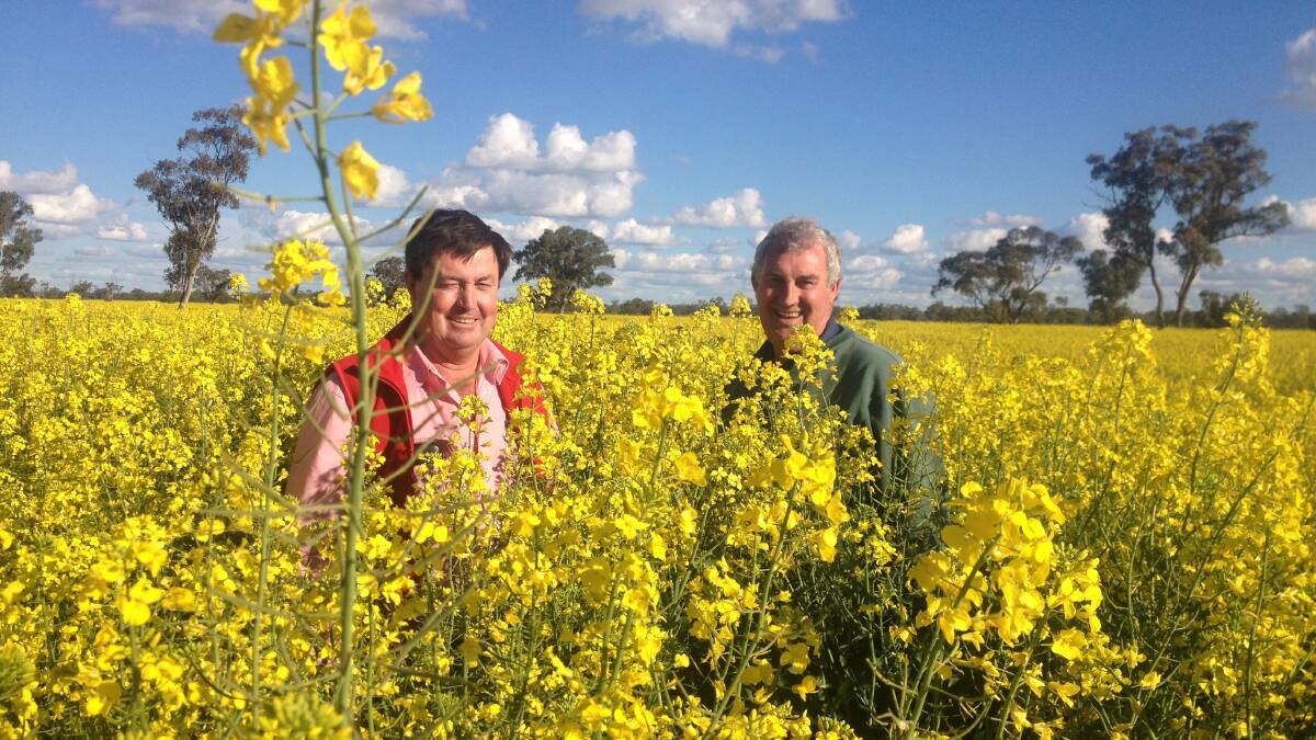 Agronomist Glen Orman and Egelabra farm manager Rob Job. Picture supplied by Egelabra