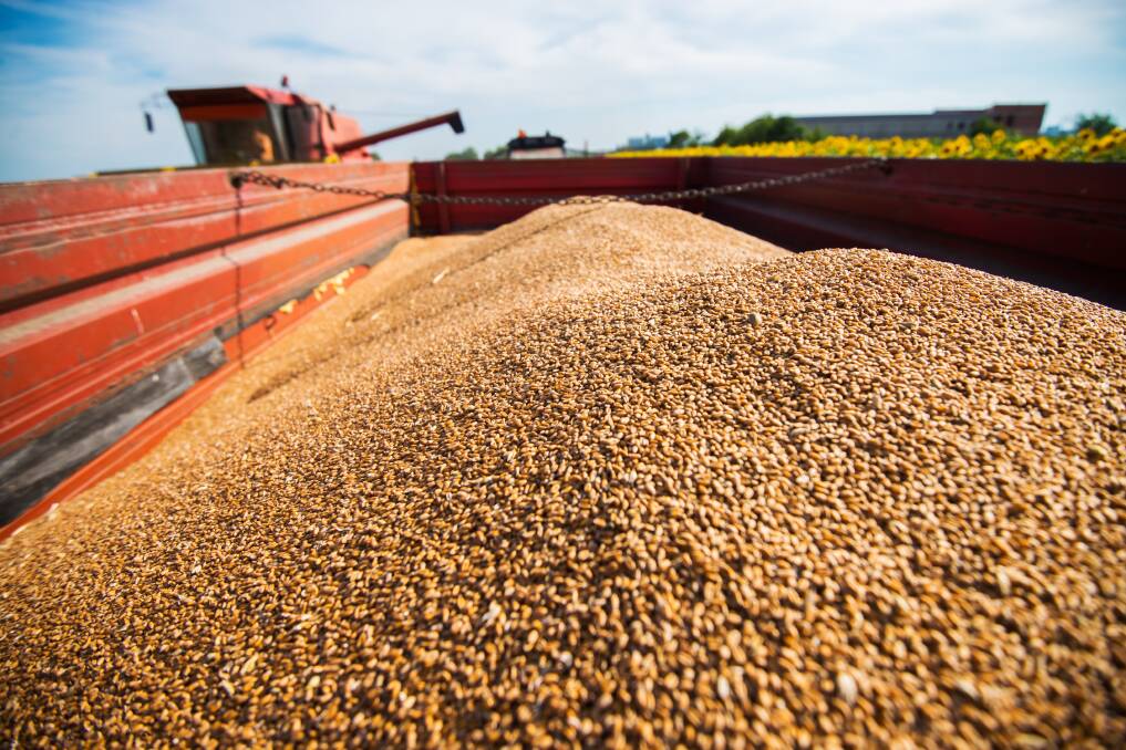 Are we in 'grain' danger as panic escalates?