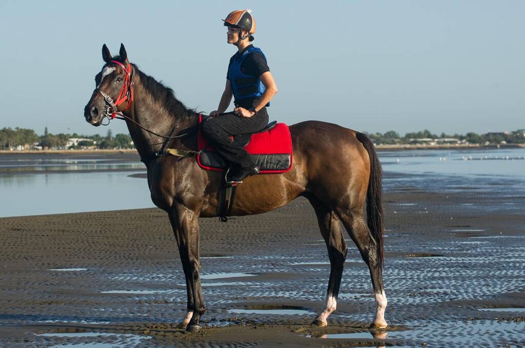 Kiaarn Dickens was a travelling foreman for Queensland trainer Tony Gollan. Picture supplied