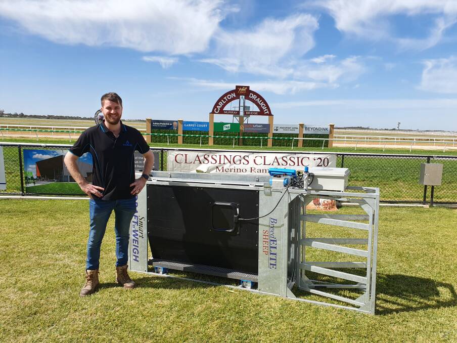 Tim Johnsson shows off the BreedELITE system at the Classings Classic Merino Sale.