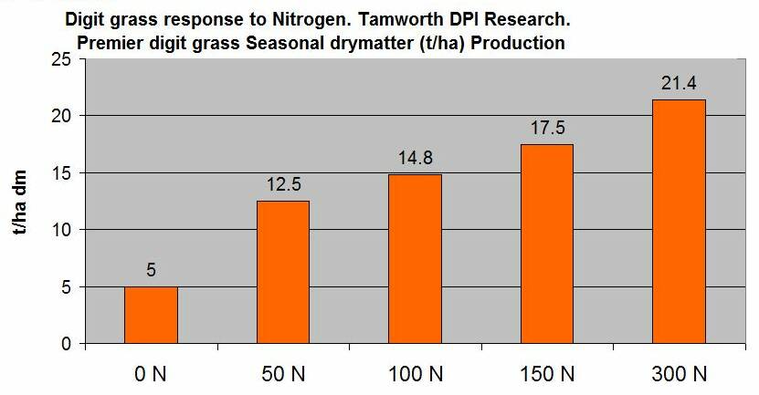 Premier digit grass is very responsive to applied fertiliser nitrogen. The graph shows the results of a NSW DPI Tamworth fertiliser trial on a low nitrogen site.