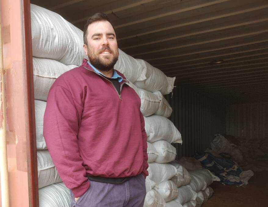 Matthew Avendano is a Boggabri farmer and tropical grass seed producer. High-quality seed, confirmed by germination and purity assessments, is an important part of successful pasture establishment. Picture supplied