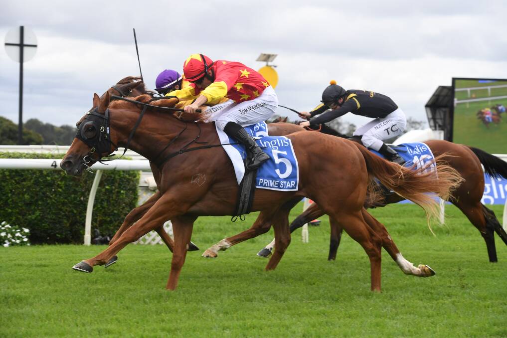 The Hawkesbury bred, Prime Star (Tom Marquand riding) scores a gutsy win in the $2 million Inglis Millennium at Warwick Farm last week. Photo Steve Hart.