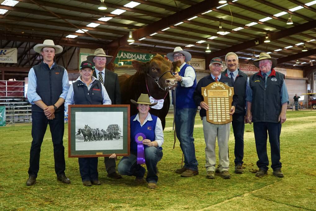 TOP: Kyle McDonald, Lisa Duce, Stephen Peake, Roger and Niaomi Evans, Kim, Terry and Howard Williams with 2018 Grand Champion Bull Nagol Park XLT M104.