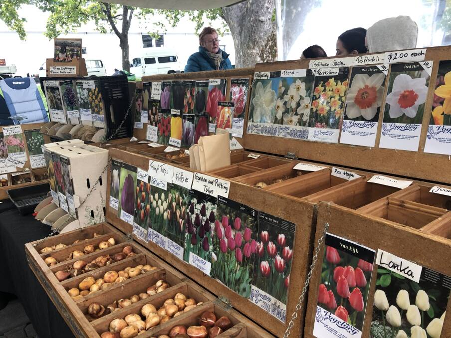 Vogelvry Bulbs and Flowers normally run a stall at the Salamanca Market in Hobart (closed temporarily). Call (03) 6261 3153 to order your bulbs.