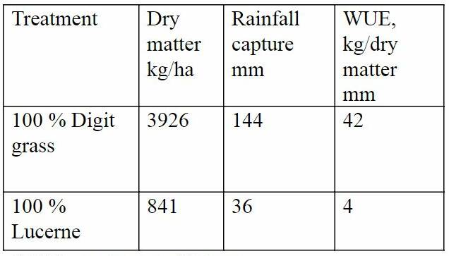 Estimated starting ground cover, rainfall capture and herbage production data for a six-week cutting cycle from Jan 9 - Feb 20 at Tamworth Agricultural Institute.