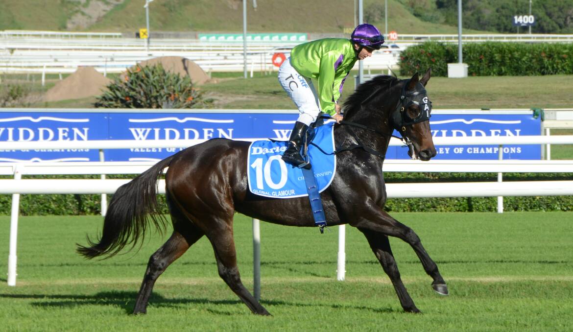Star Witness Group 1 winning mare Global Glamour and jockey Tim Clark at Randwick. The mare fetched $1.55m at the Gold Coast last week. Photo Virginia Harvey