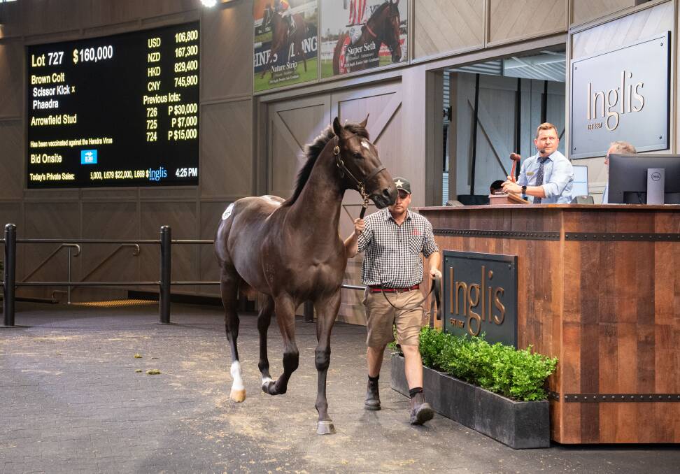 The top priced horse at the Inglis Highway Session of the Classic Yearling Sale was a colt by Arrowfield Stud's Scissor Kick.