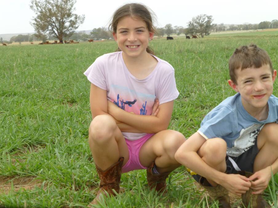 Bob Freebairn's grandchildren, Rebecca and Charlie Anderson, in a tropical grass pasture late December 2018 following light rain. Rapid recovery on light soil where grazing management ensured good grass root reserves.