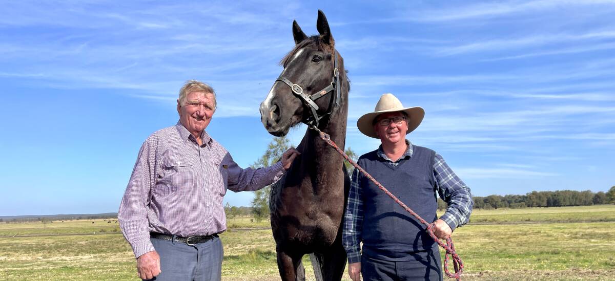 Mervyn and John Bennett with their racehorse Bin Chicken at their Worrigee property. Picture by Hayley Warden.