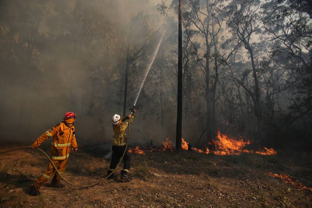 Bushfires have dealt a devastating blow to about 4500 farm enterprises in the north of NSW.