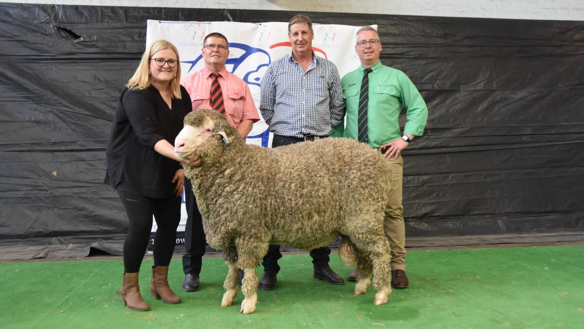 Katelyn Boughen, Kamora Park stud, Sandalwood, Elders auctioneer Tony Wetherall, Paul Cousins, Cousins Merino Services, Burra and Nutrien auctioneer Gordon Wood with the $76,000 sale topper- Wallaloo Park 190226- from the 2020 Adelaide Merino ram sale. It was bought by Kamora Park and Seymour Park Poll stud, WA.