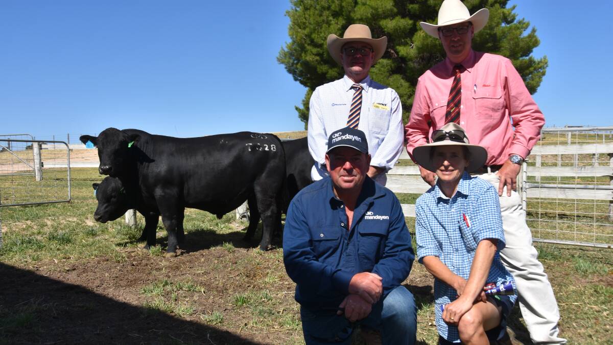 Spence Dix & Co's Jono Spence, Elders' Ross Milne, Mandayen stud principal Damian Gommers and Wendy James-Ross, Cooranga, Woolumbool, who paid the sale's top price of $30,000 for lot 81. Picture by Catherine Miller