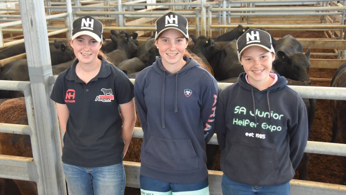 Sisters Maddi, Emily and Charlotte Hann, Nampara Pastoral Company, Lucindale, helped their parents Stuart and Nat buy some of the best breeder types to be mated and offered in PTIC female sales next year. Picture by Catherine Miller