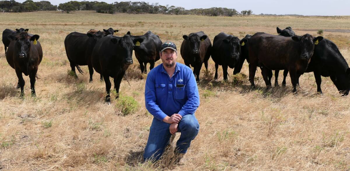 Stoney Point stud manager Peter Colliver with some of the PTIC females which will be on offer in the first stage dispersal on March 24 next year.