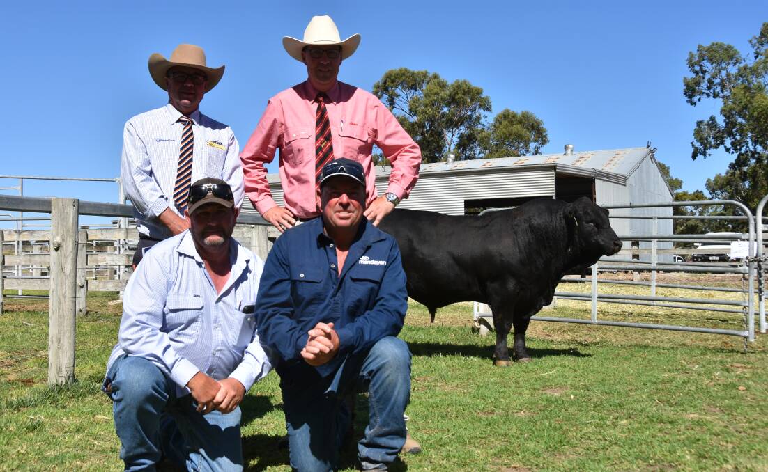 Spence Dix & Co's Jono Spence, Elders' Ross Milne, Brett Turner, New Day Limousins, Crookwell, NSW and Mandayen stud principal Damian Gommers with the $24,000 highest priced Limousin bull.