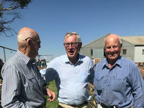 Tom Padbury, Neil Garnett and Jim Sullivan at Greenfields stud, Hallett, SA, during the 2019 Elders SA Stud Merino Expo. Picture supplied.