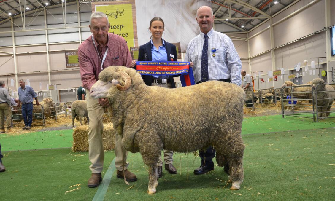 David Zouch, Hollow Mount stud, with the champion medium wool August shorn ram being sashed by 2023 Rural Achiever Sophie Wood with judge Will Roberts, Morven, Qld. Picture by Catherine Miller