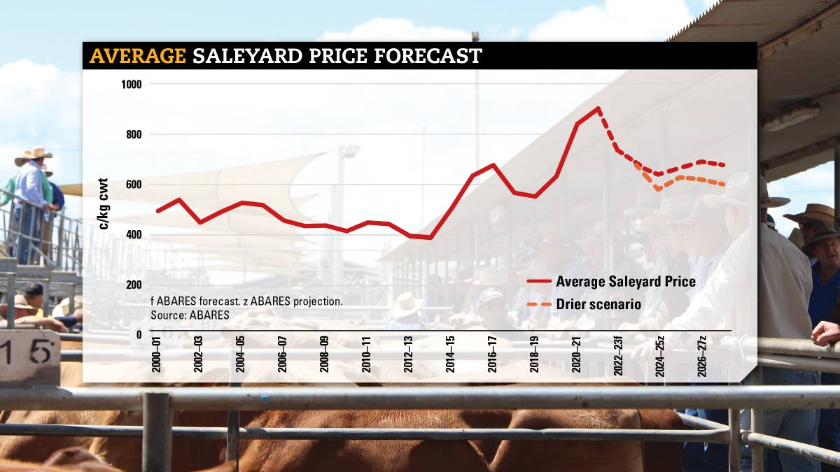 ABARES forecasts for saleyard cattle prices released today show averages slipping this finanical year and again in the next one.