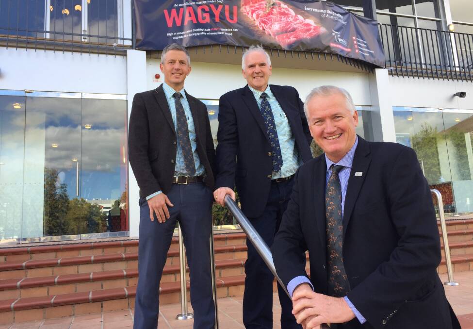 Chief executive officer the Australian Wagyu Association Dr Matt McDonagh with former CEO Graham Truscott and president Peter Gilmour. 