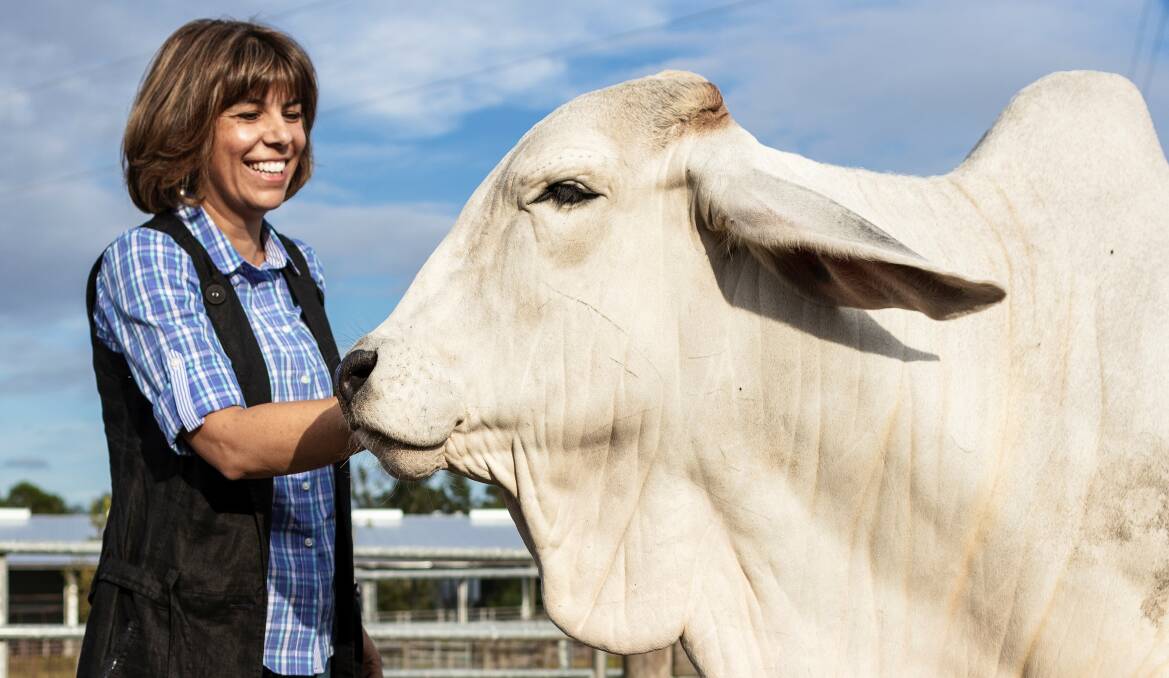 CHEWING THE FAT: Professor Raluca Mateescu, from the University of Florida's Department of Animal Sciences, is characterising the nutritional value of beef from bos indicus-influenced cattle.