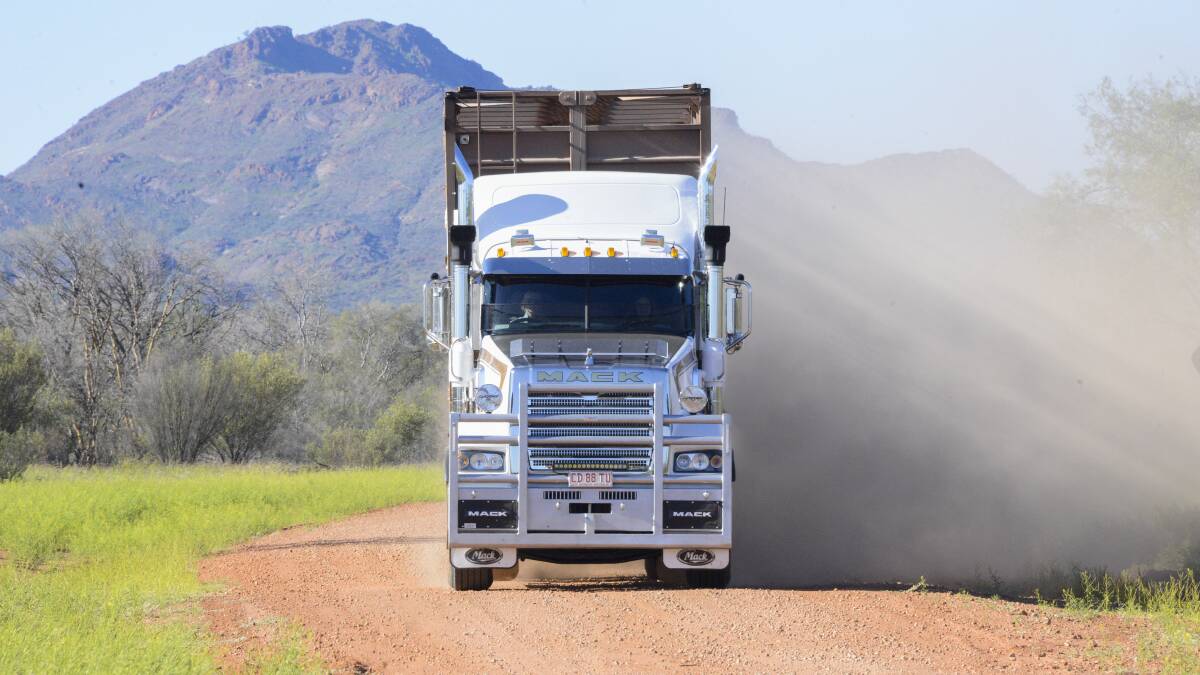There are no reports yet of cattle trucks being turned around, as processing capacity shrinks even further due to COVID cases among staff. But producers are planning for ongoing disruptions. IMAGE: NTCA 