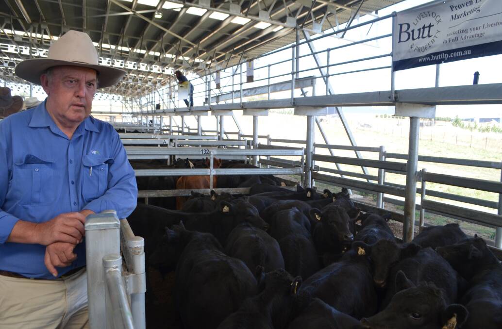 Goulburn, NSW, breeder and fattener Roger Bushell “Jongawong”. Photo: Stephen Burns.