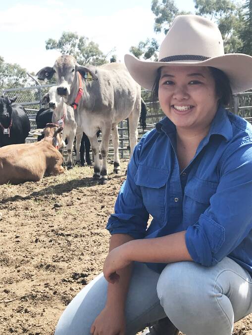 VALUABLE WORK: CQUniversity postgraduate student Anita Chang has identified inconsistencies with the way calf mortality has been measured. 