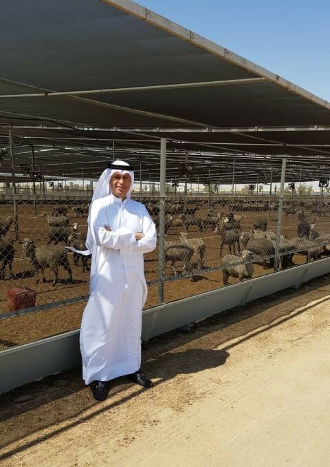 
Al Mawashi chief executive officer Osama Boodai at the company’s Kuwait feedlot inspecting Australian sheep, exported on the Al Messilah, which arrived on Tuesday.