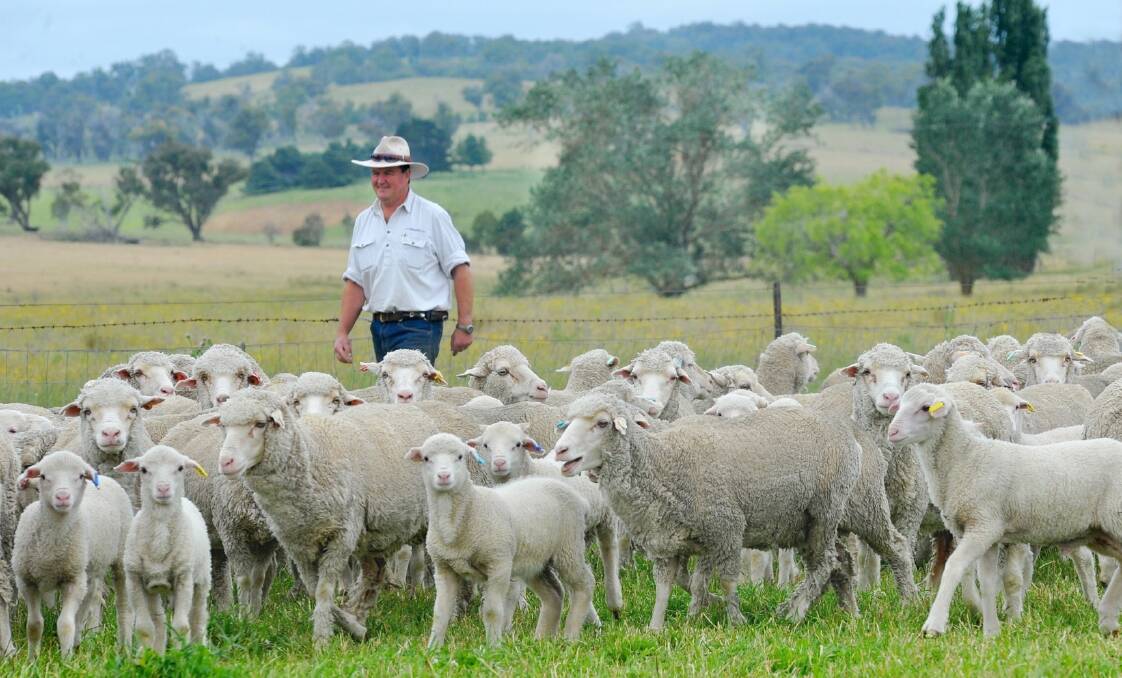 AT THE HELM: Hugh Nivison, independent chair of the Australian Farmers' Fighting Fund, and owner of a NSW Merino stud and commercial cattle enterprise. 