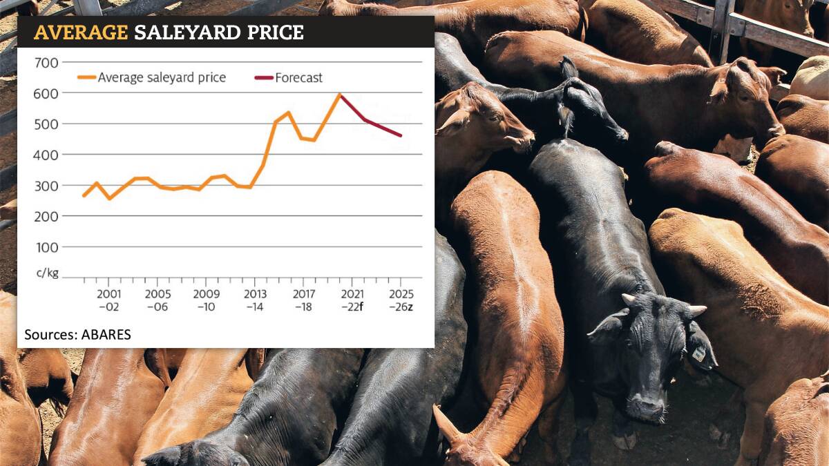 Cattle prices stay put in a 'new normal'