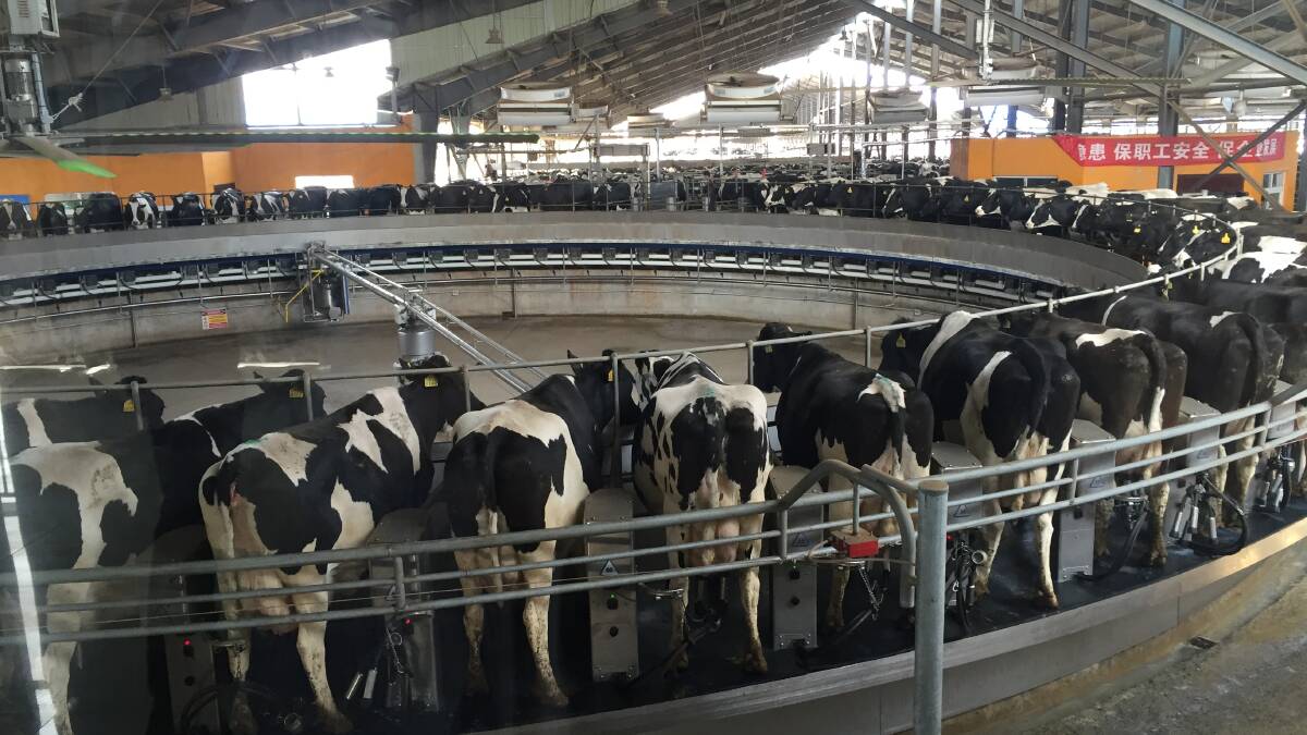 Moves for a mandatory dairy export levy