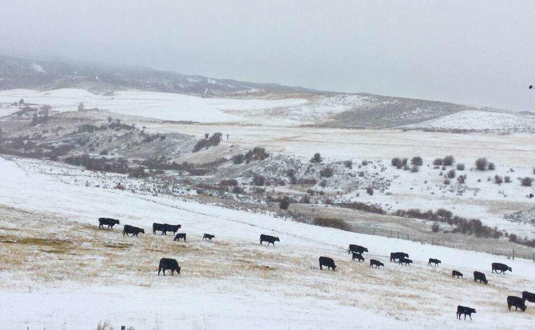 Coyote Creek Ranch in Colorado in the winter.