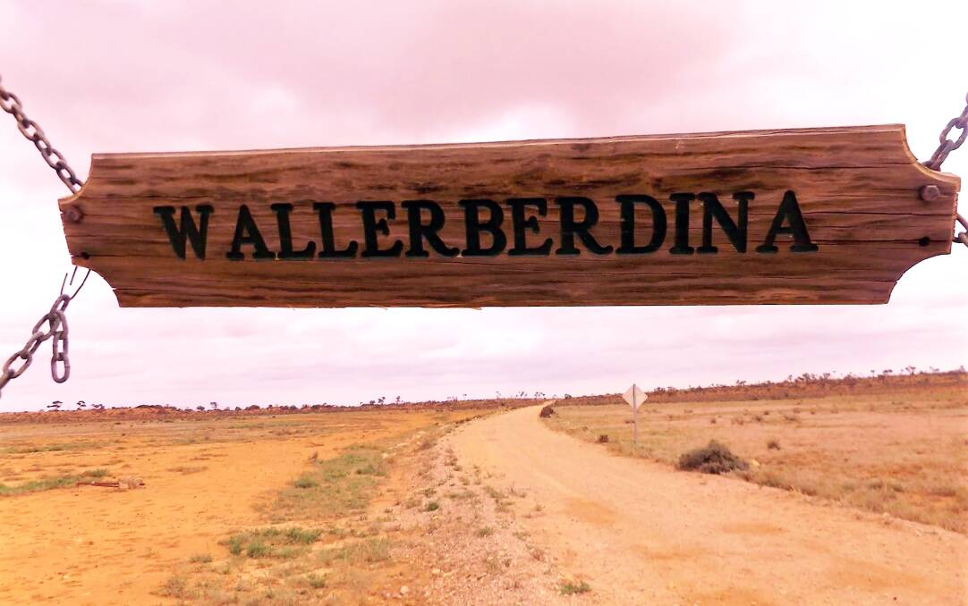 Having survived a plan to host the nation's radioactive waste dump, Wallerberdina Station, is looking to continue its long history with livestock grazing. 