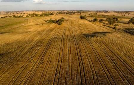 Large scale 1645 hectare grain and grazing operation Warranoy sold at auction for $28 million. The sale price is equal to about $17,021/ha ($6891/acre). The farm is located on the South West Slopes near Young. Picture - supplied
