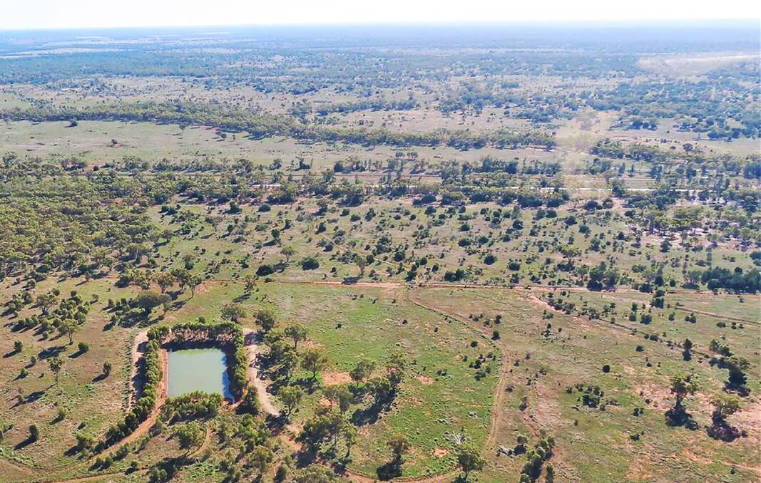 ABOVE RESERVE: Central at Canbelego easily cleared its reserve price of about $740,000 to reach $980,000 by sale's end. Pictures: Nutrien Harcourts.