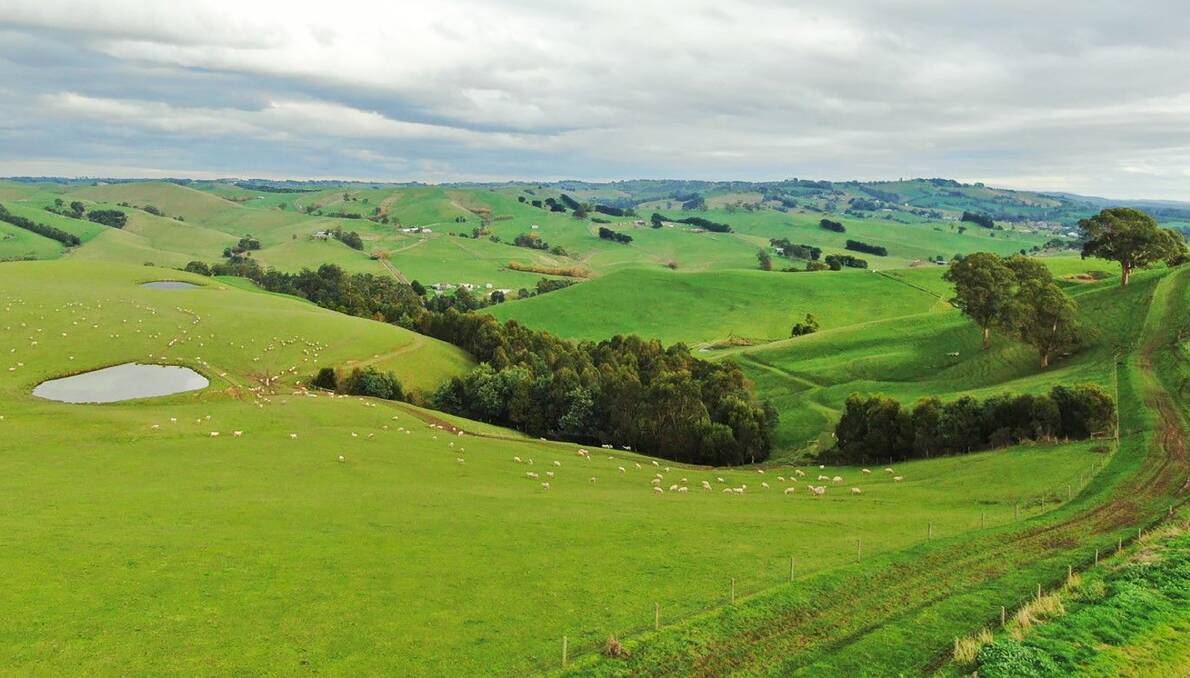 Lush grazing country in high rainfall South Gippsland is still close enough to the city to consider lifestylers. Pictures from Elders Real Estate.