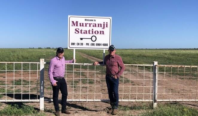 Queensland's Bunderra Cattle Company's Duane and Kevin Pickersgill at Murranji Station.