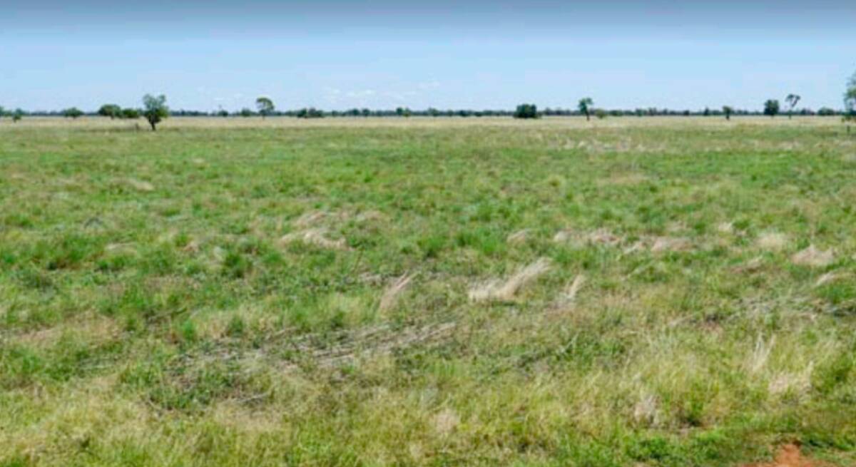 Bernafay is principally 2767 hectares of flat, open plain country with creeks which sold for $6.52 million. The sale price of the cropping, sheep or cattle property is equal to about $2356/ha ($953/acre), setting a new benchmark for Nyngan district values. Picture supplied