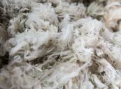FMD WORRY: Like Australia, South Africa is heavily reliant on sales of its wool to China.