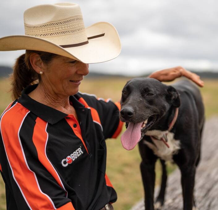 MARATHON RUNNER: Northern NSW station hand Glenda Rogan and her Kelpie-cross Buddy won last year's competition. Buddy travelled 835km over the three weeks. Picture: supplied.